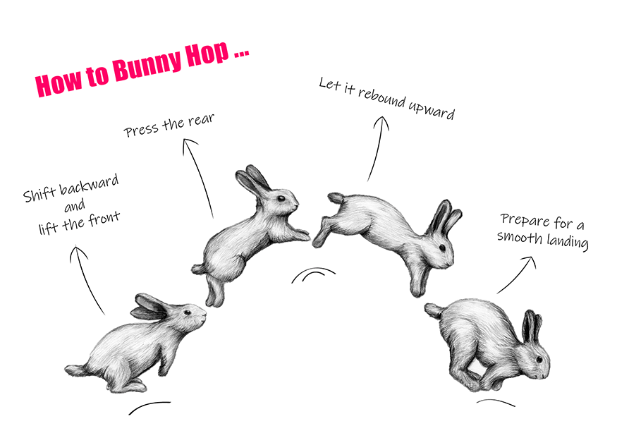 Postkarten-Illustration für ein Mountainbike-Unternehmen.