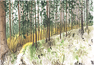 Winterlandschaft, Oberösterreich, Aquarell