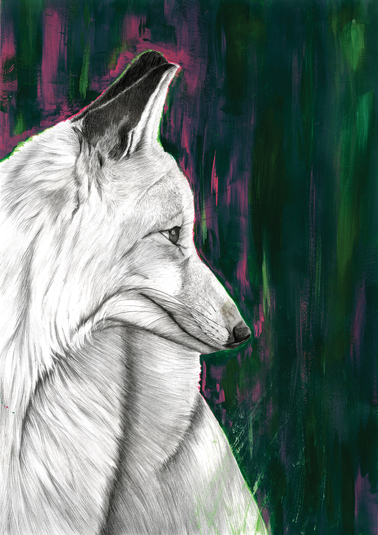 Graphitzeichnung eines Fuchses mit einem abstrakten Hintergrund aus Gouache.