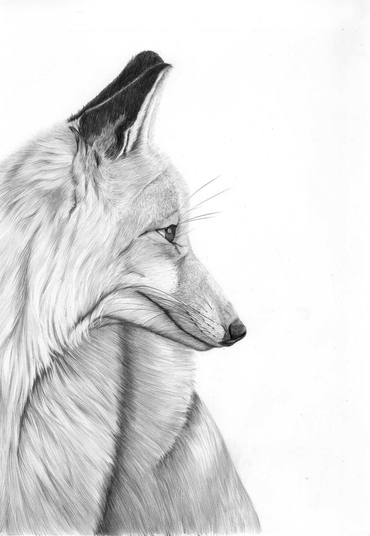 Die Graphitzeichnung entstand auf einem schlecht besuchten Markt.