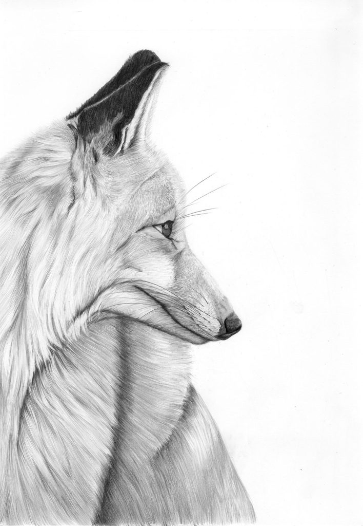 Die Graphitzeichnung entstand auf einem schlecht besuchten Markt.