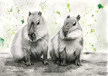 Don't Worry, Be Capy zeigt zwei Wasserschweine in Grpahit vor einem grünen Aquarellhintergrund.