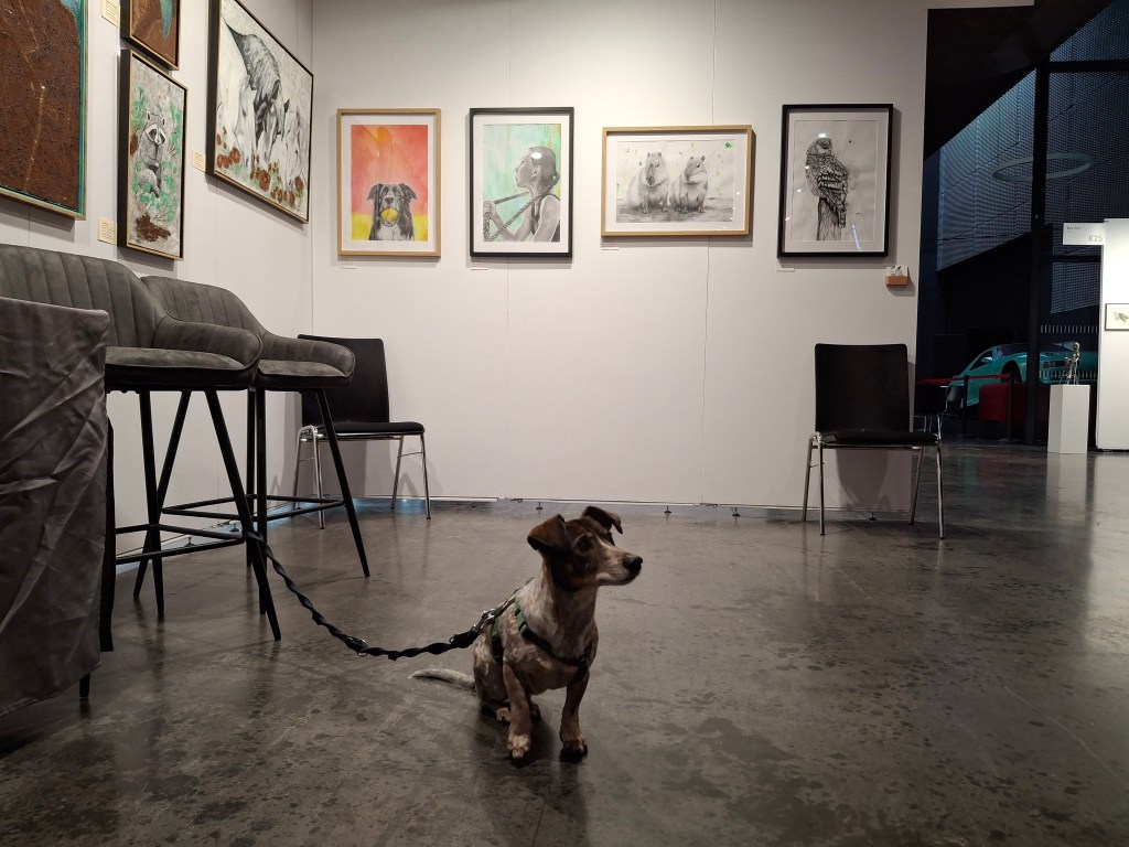 Meine Wandfläche mit den 4 Bildern bei der INC Art Fair