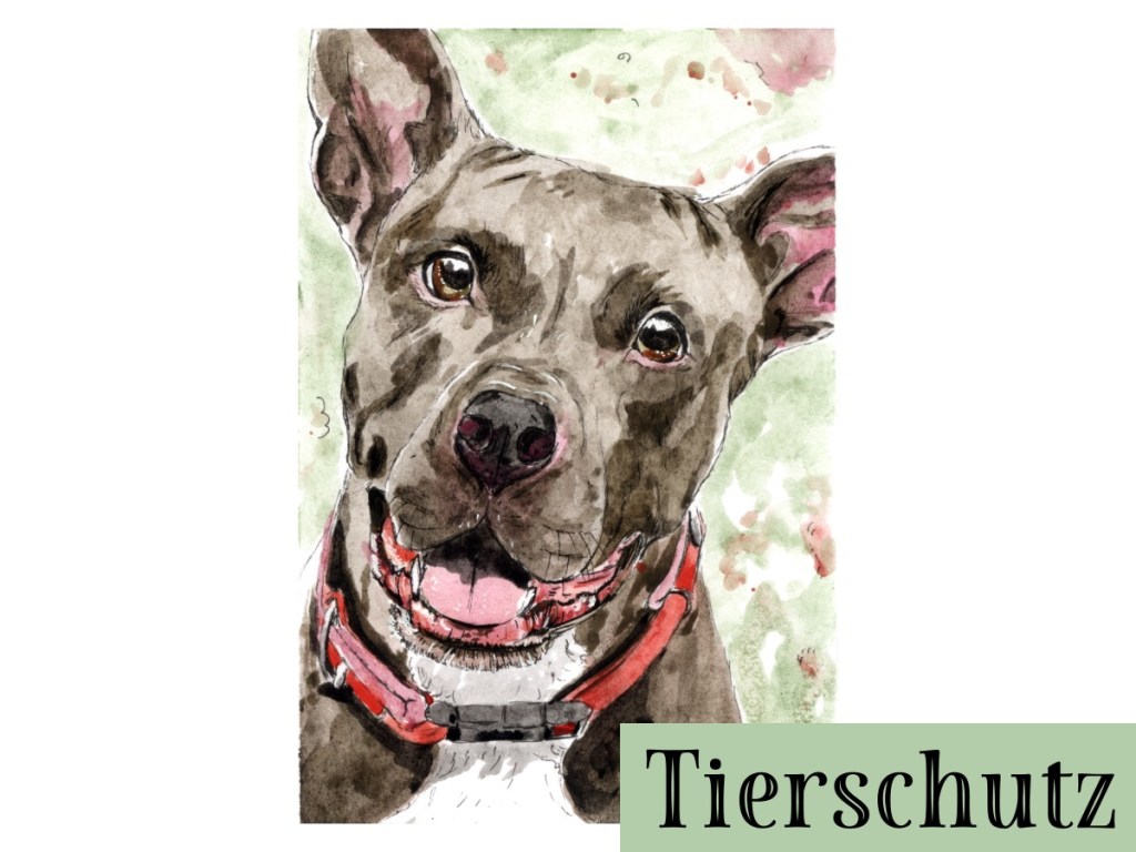Header: Neue Kooperation mit dem TierQuarTier Wien