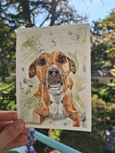 Pet Portrait eines Hundes, erstellt für das TierQuarTier Wien