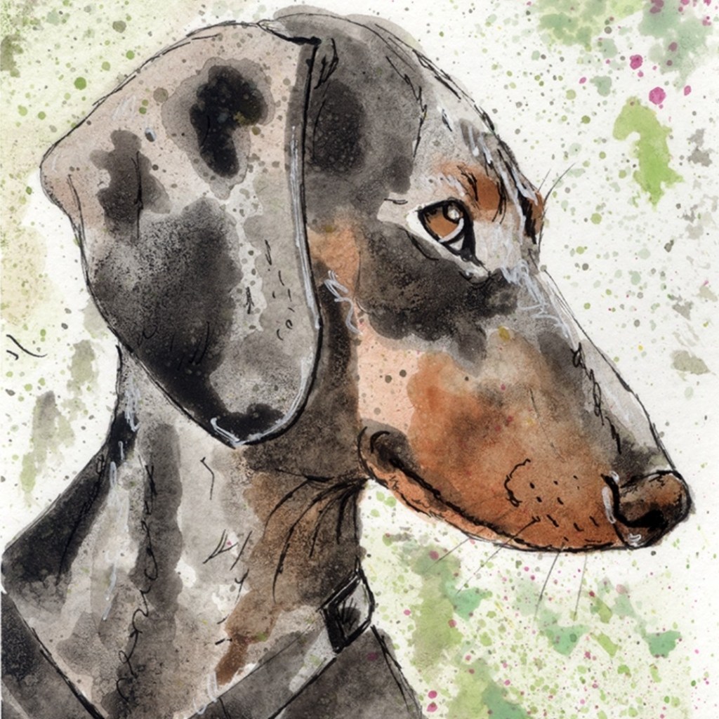 Dackel - Live Pet Portraits